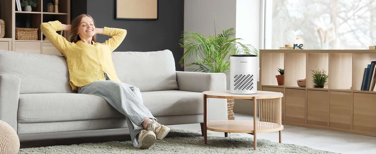 air purifiers for home pets