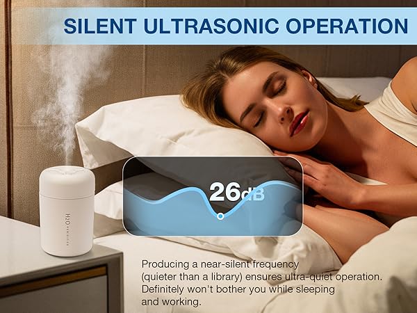 Small Humidifiers for Plants