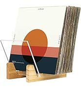 Hudson Hi-Fi Desktop Vinyl Record Storage 25-Album Display Holder - Featuring Sustainably Sourced...