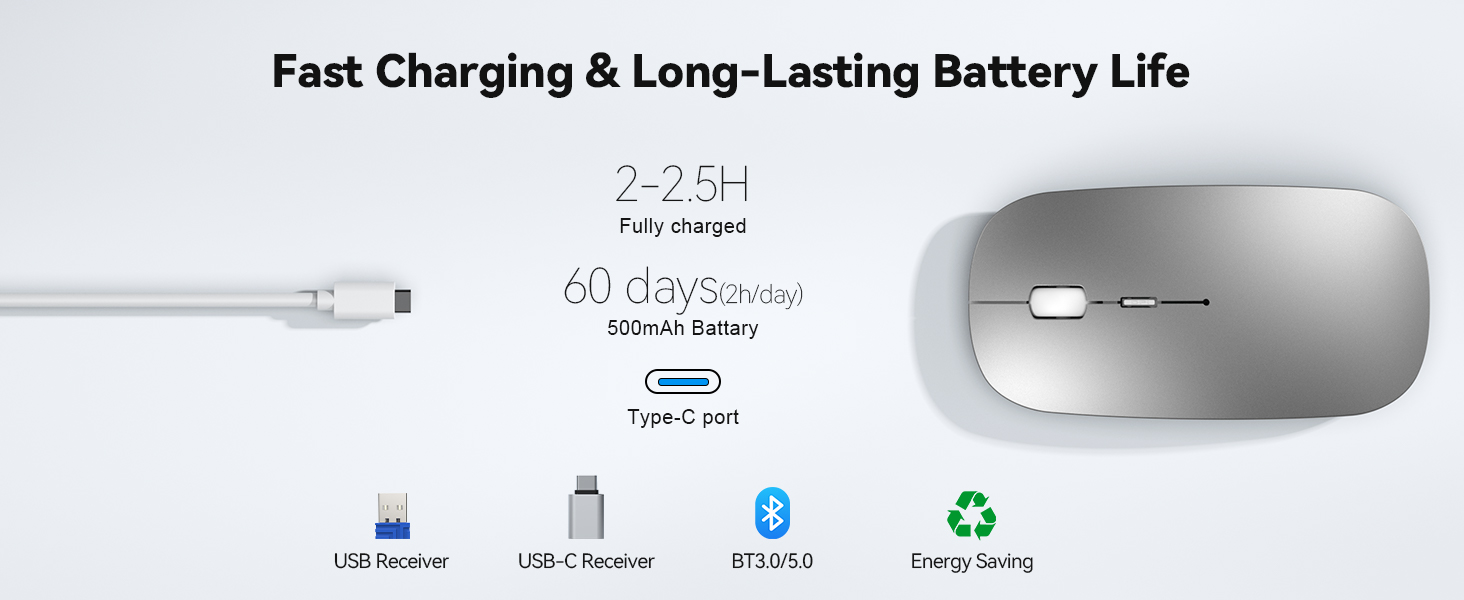 Text reads 'Fast Charging &amp; Long-Lasting Battery Life'. Gray wireless computer mouse with charging cable and battery charging indicator icons displayed below.