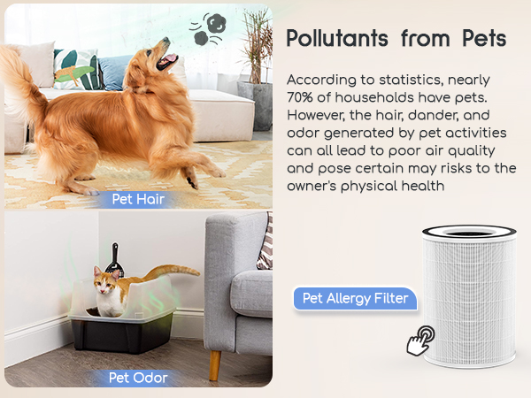 air purifiers