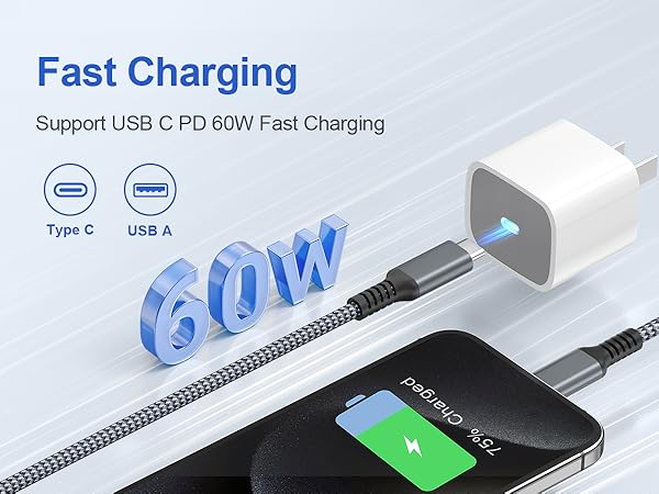 Fast Charging