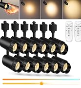 H track spot lights
