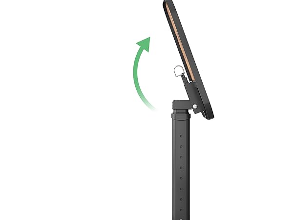 Secure Flip with Lock