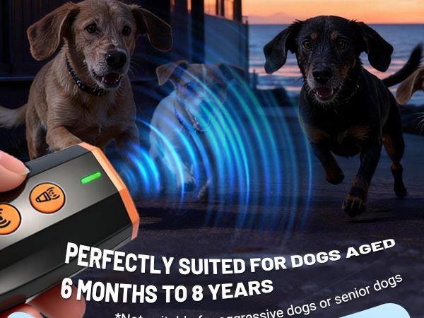 ultrasonic dog bark deterrent