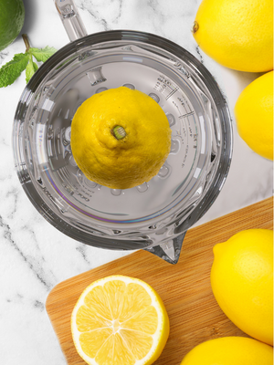 Citrus Manual Glass Juicer
