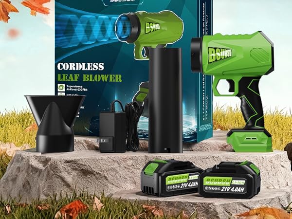 What else will you get besides BSUBSU Leaf Blower Cordless