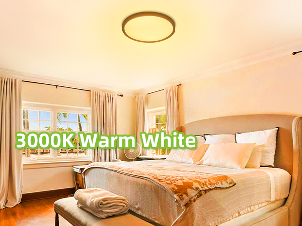 LED Round Flat Panel Light