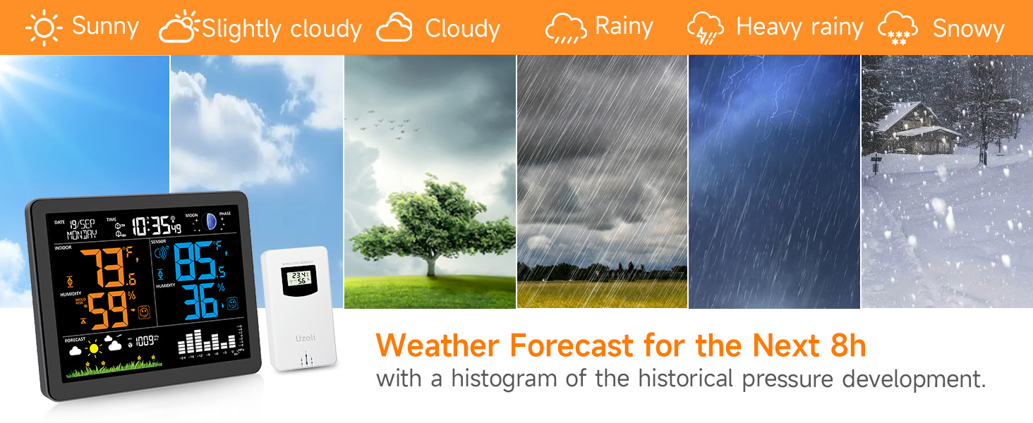 wireless weather station indoor outdoor
