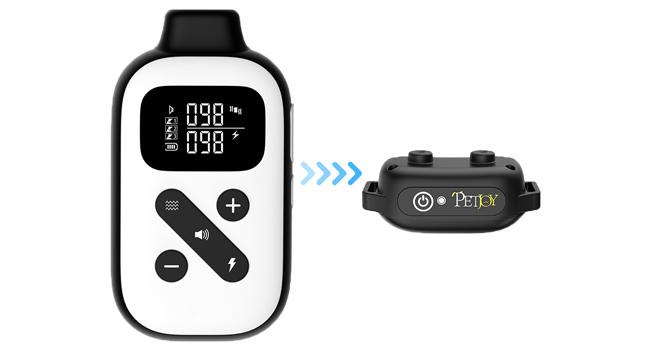 remote shock collar