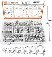Dianrui 175 PCS Hose Clamp Assortment Kit 1/4