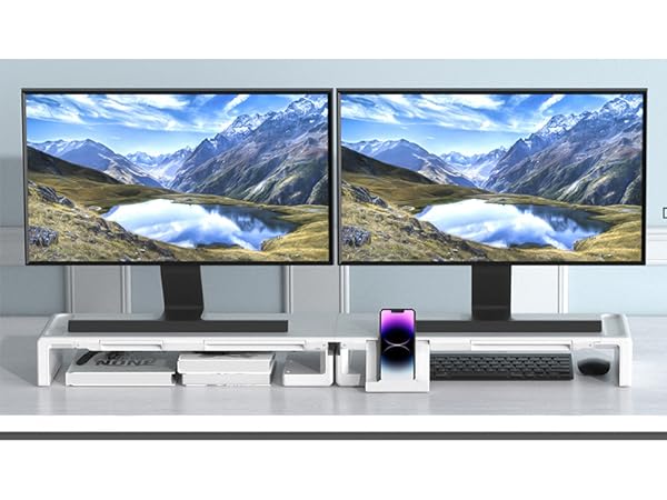 Dual Monitor Stand