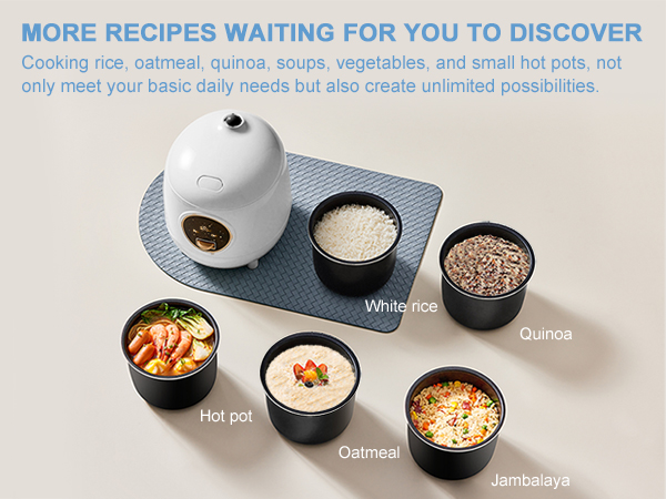 rice cooker
