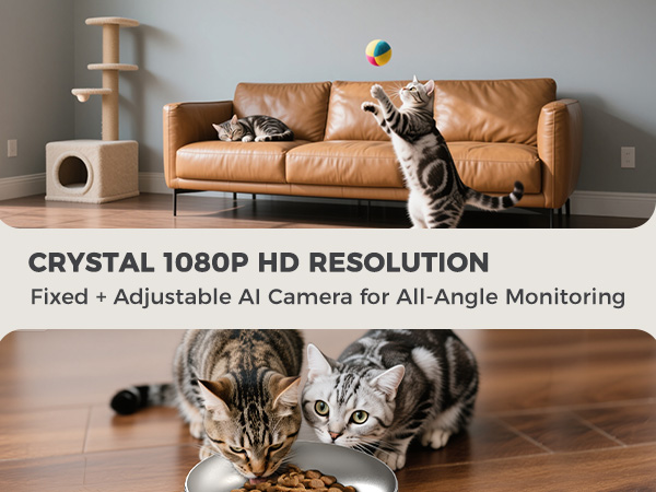 pet cat feeder with camera