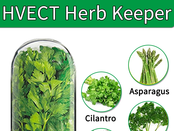 Herb Saver for Refrigerator