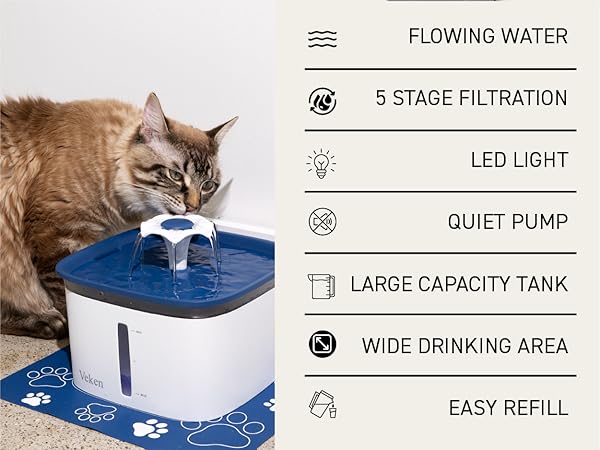 cat waterer fountain