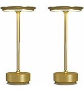 FDIDC 2 Pack Cordless Table Lamps Rechargeable, 5000mAh Portable LED Table Light, 3 Color Steples...