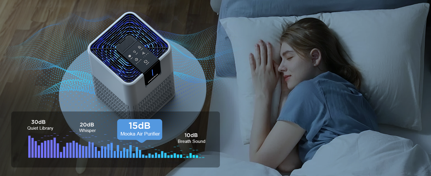 H13 true HEPA air purifier