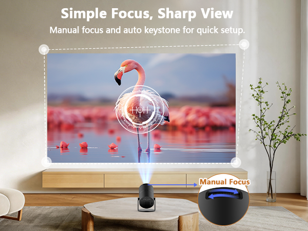 mini phone projector