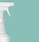 web deterrent interior remover house outside home bedroom peppermint pepermint concentrate spiderweb