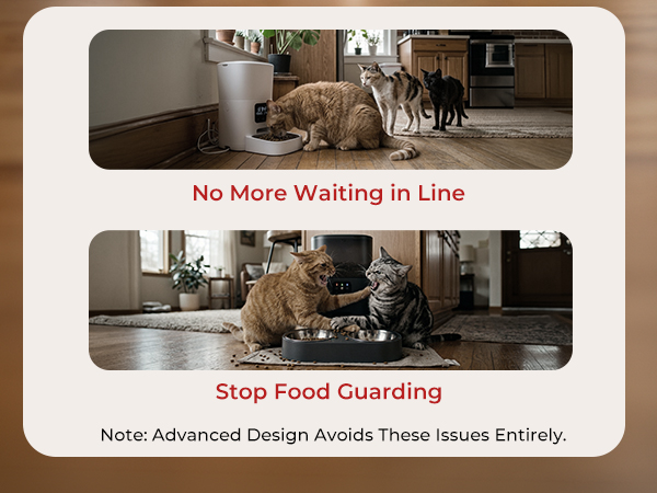 cat automatic feeders