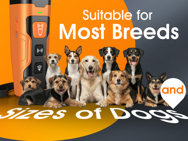 ultrasonic bark deterrent