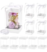 BENECREAT 10 Pcs Clear Plastic Gift Box with White Paper Lid, Rectangle Gift Packaging Boxes with...