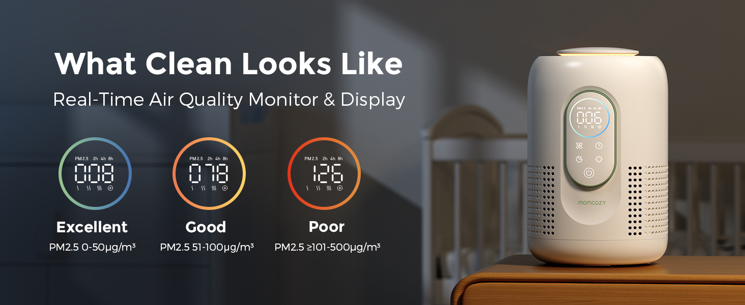 PM2.5 Display