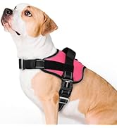 rabbitgoo Dog Harness for Large, Easy On Pet Vest with One Buckle, No Pull Adjustable Service Har...
