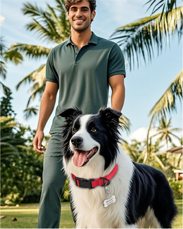 classic dog collars