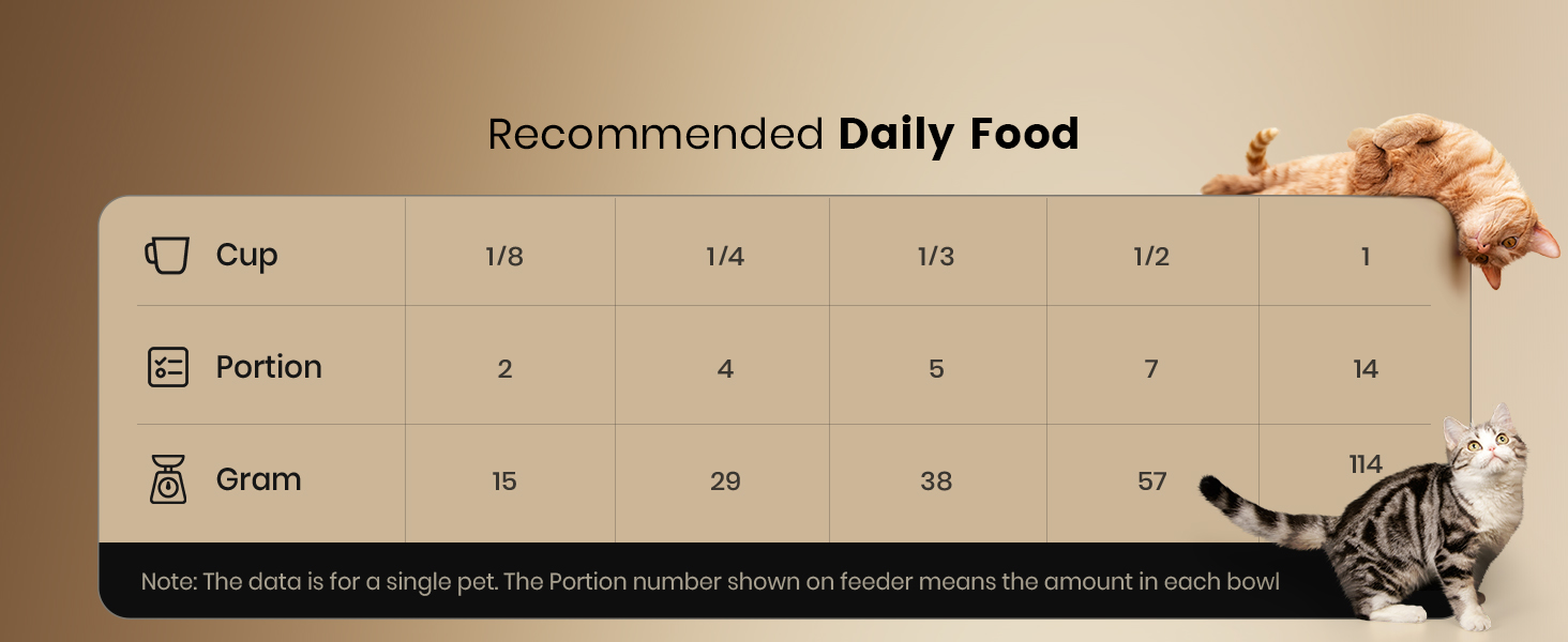 automatic cat feeder