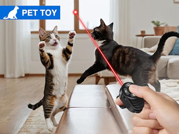 presentation clicker usb c