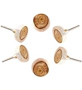 SPN-FOR1 Set of 6 Wooden Knobs for Cabinet &amp; Drawers Decorative Knobs for Home Kitchen Cabine...