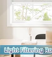 Light filtering roll shades (3).jpg