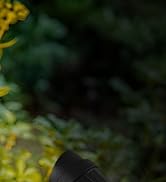 120V Outdoor Spotlight