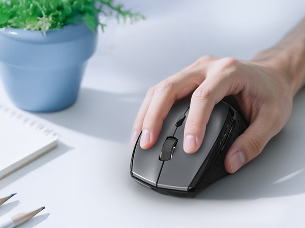 mouse