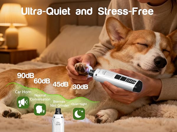 Pet nail grinder
