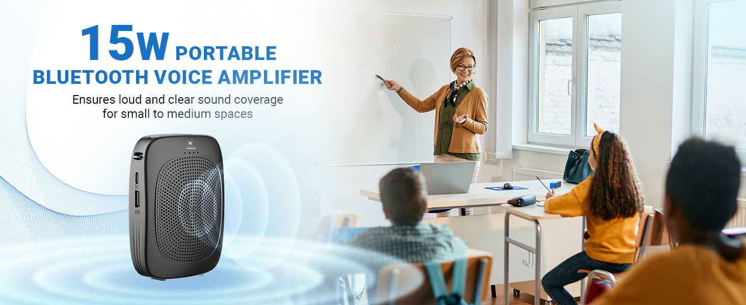 winbridge voice amplifier