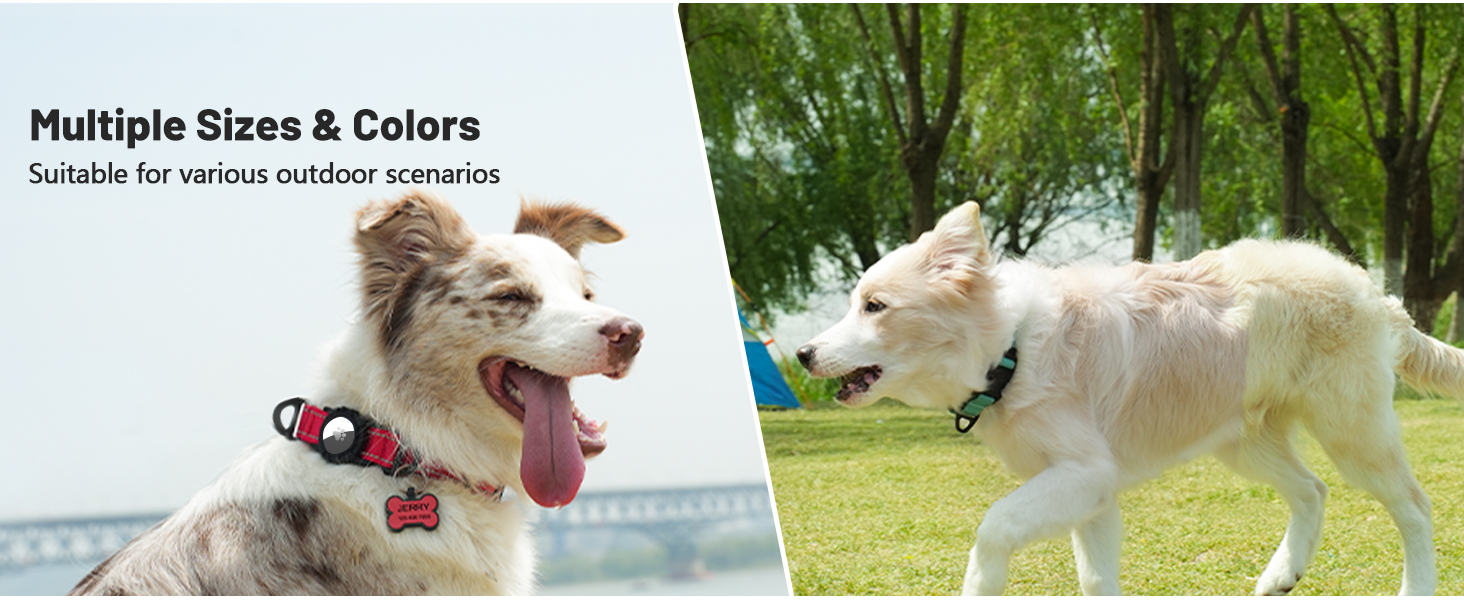 Dog Collar with AirTag Holder