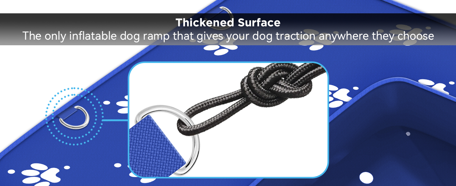 Dog Boat pool Ramp