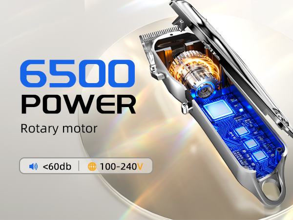 6500 power rotary motor