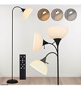GDRKNP Adjustable Gooseneck Floor Lamp, Stepless Dimming and Color Temperature, Standing Lamp wit...