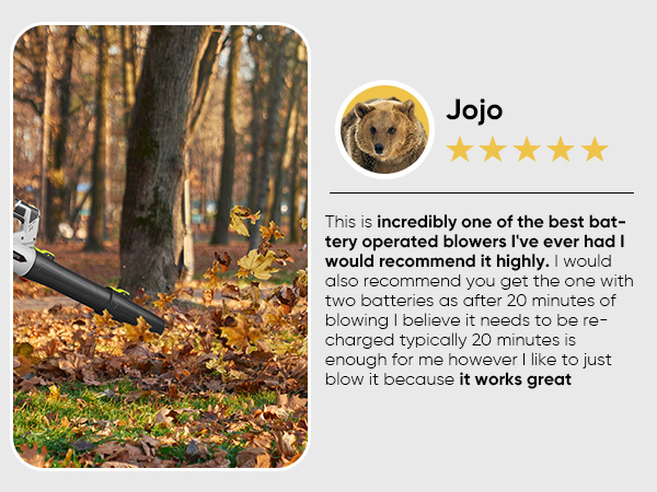 electric leaf blower