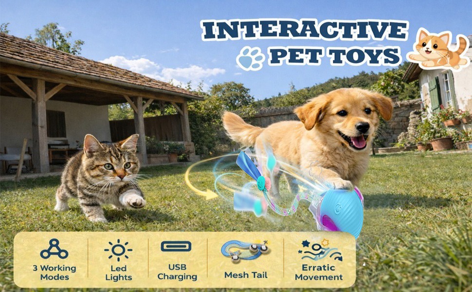 Interactive Pet Toys