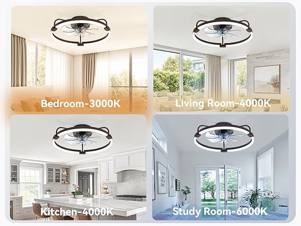 modern ceiling fan with light