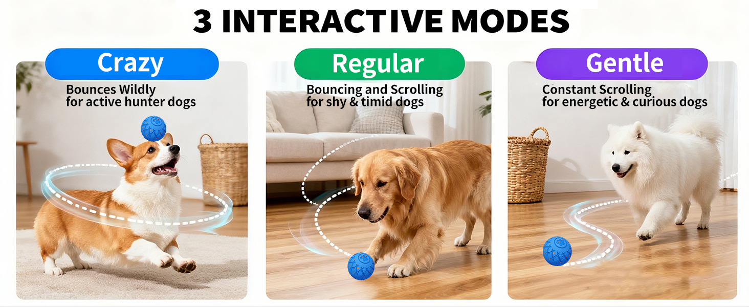 dog ball