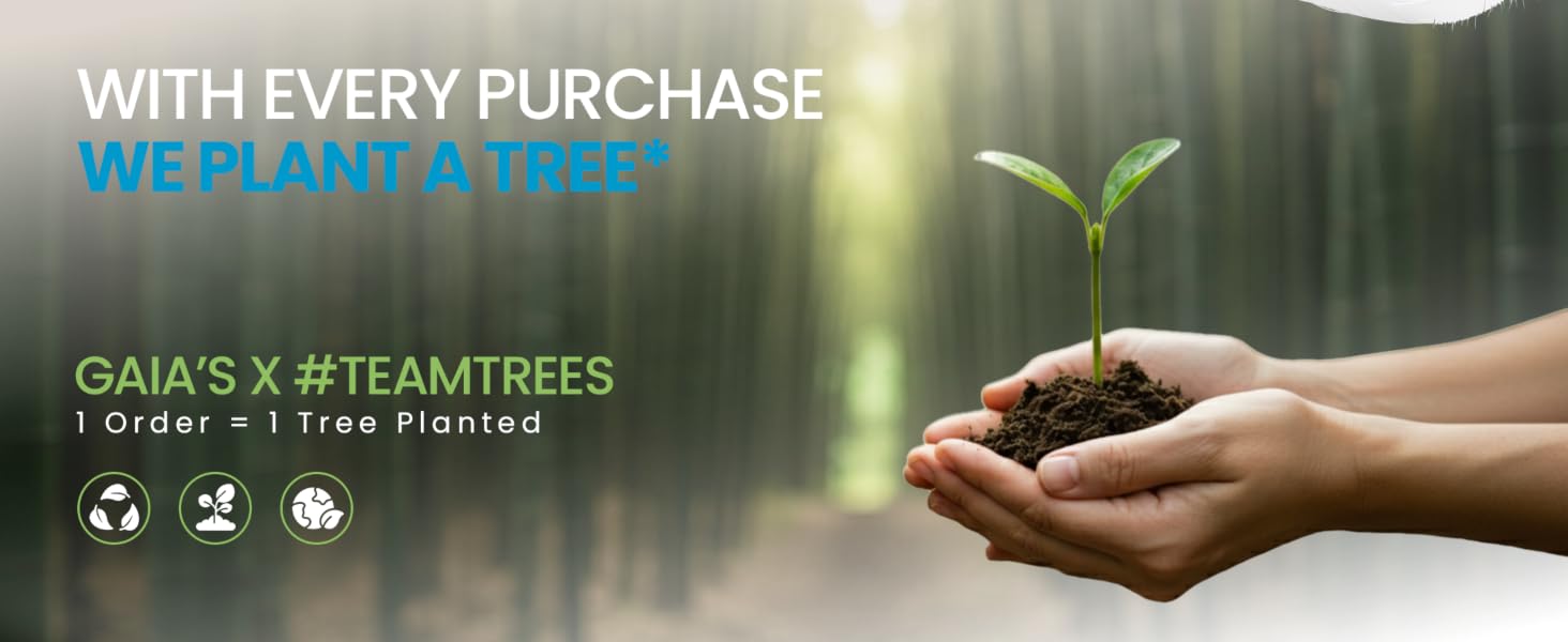TeamTrees Planting Tree Donation
