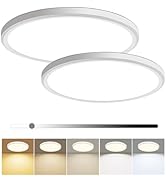 2 Pack 12 Inch Dimmable LED Flush Mount Ceiling Light Fixture 28W 3200LM 5 Color Temperature in O...