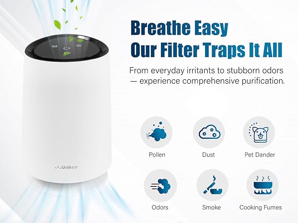 Air purifier