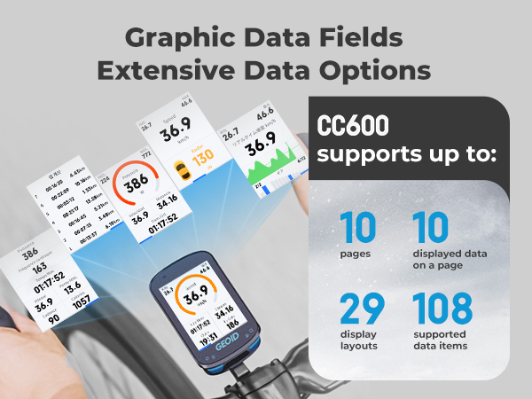bike computer with extensive data
